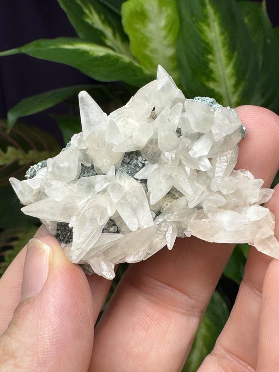Dogtooth Calcite Cluster~Ledford’s Minerals