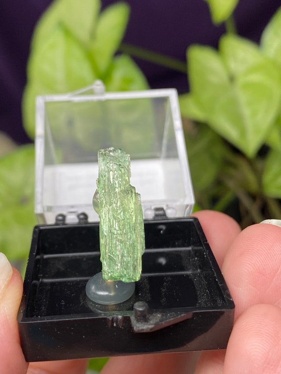 Rare Hiddenite Spodumene-Adams Farm, NC~Ex Terry Ledford Collection~Nature Made Goods~Ledford's Minerals