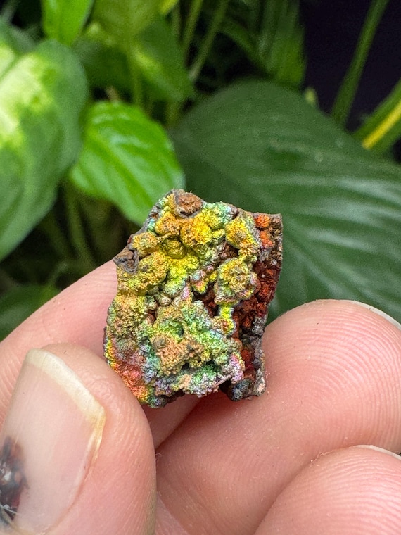 Turgite with Rainbow Iridescent Hematite~Lincoln County, GA~Graves Mountain~Collected by Terry Ledford~CrystallineDreamMin