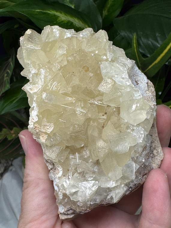 Smithsonite Cluster~Tsumeb, SW Africa~Ledford’s Minerals