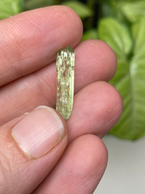 Rare Chromium Green North Carolina Hiddenite Crystal