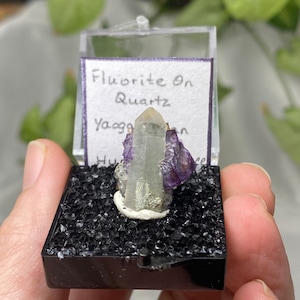 Lustrous Fluorite on Quartz