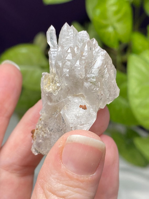 Lustrous North Carolina Emerald Mine Healer Quartz Scepter Cluster
