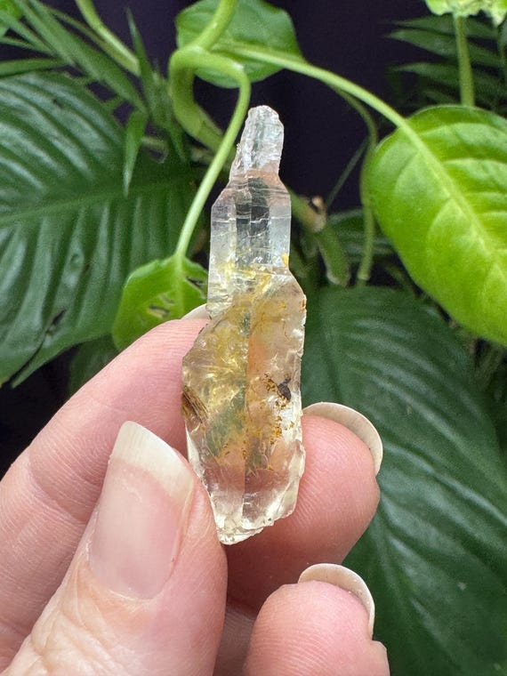 Beautiful Hiddenite NC Inverted Quartz Sceptor~Ex Terry Ledford Collection~Ledford’s Mineral