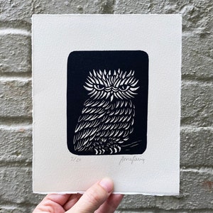 Owl