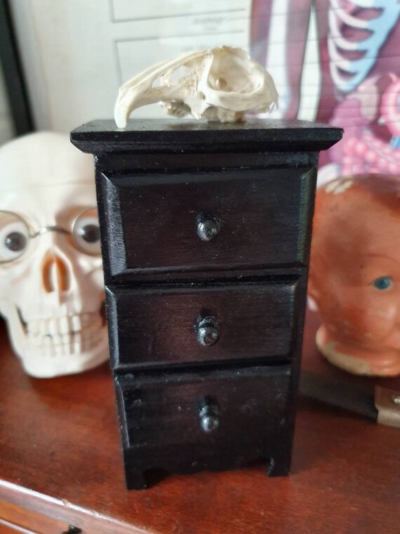Small 3 Drawer Storage Unit With A Mounted Rabbit Skull And A Etsy