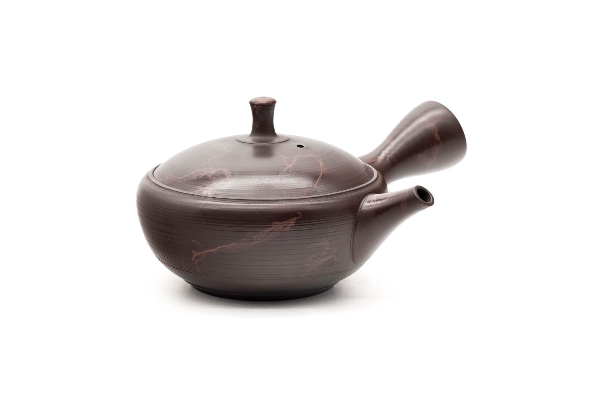 Japanese Stainless Steel Teapot Handmade Kyusu Made in Japan 0.7L