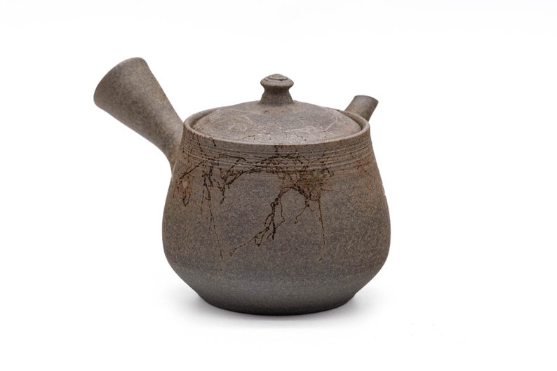 Tanikawa Jin Mogake Tanka Tokoname Teapot