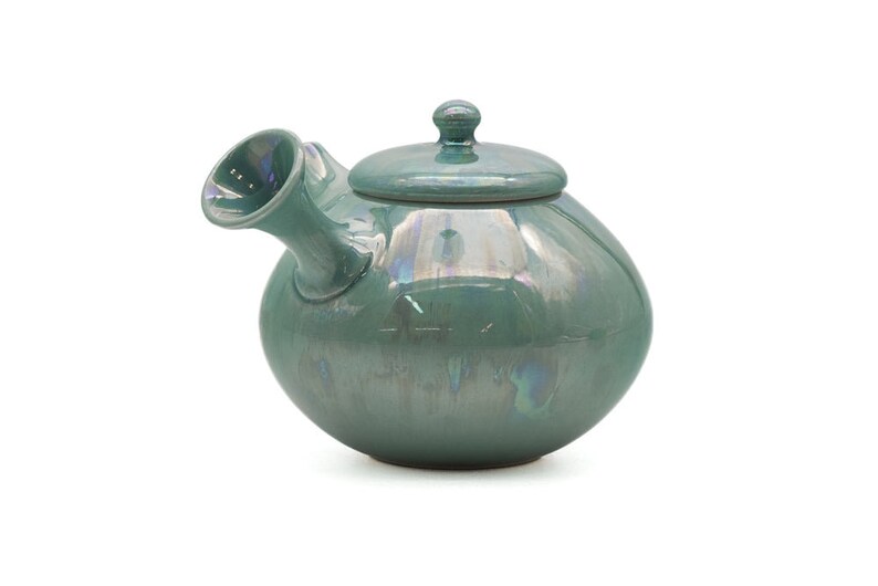 Tsuzuki Yutaka Kyusu Teapot - Thumbnail 2