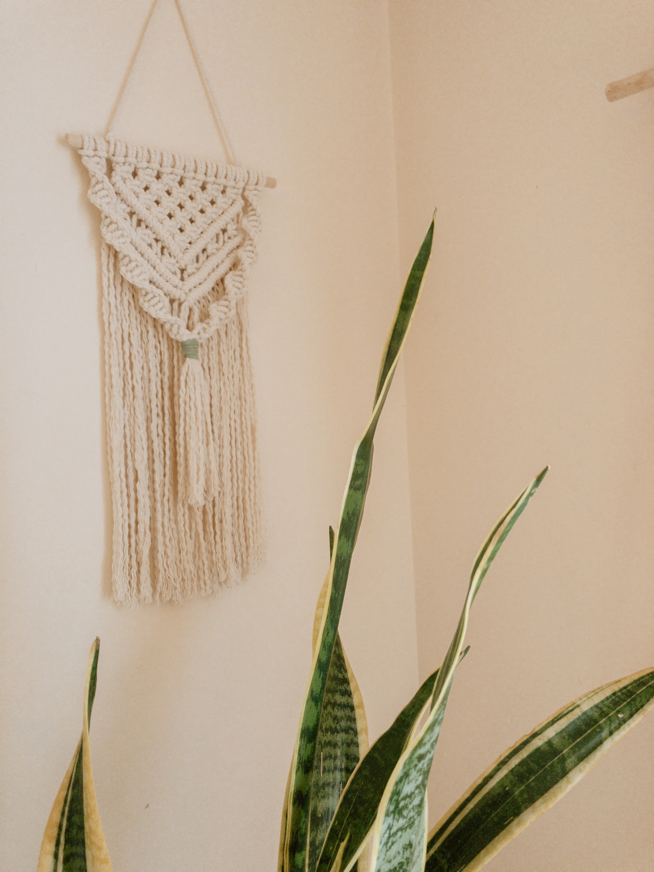 DIY Macrame Wall Hanging Kit Boho Wall Hanging Macrame Kit Etsy