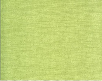 Moda- Thatched- Meadow- 48626-134- Robin Pickens- 100% Cotton