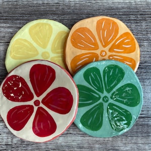 Fruit Slice Coasters - Polymer Clay Coasters