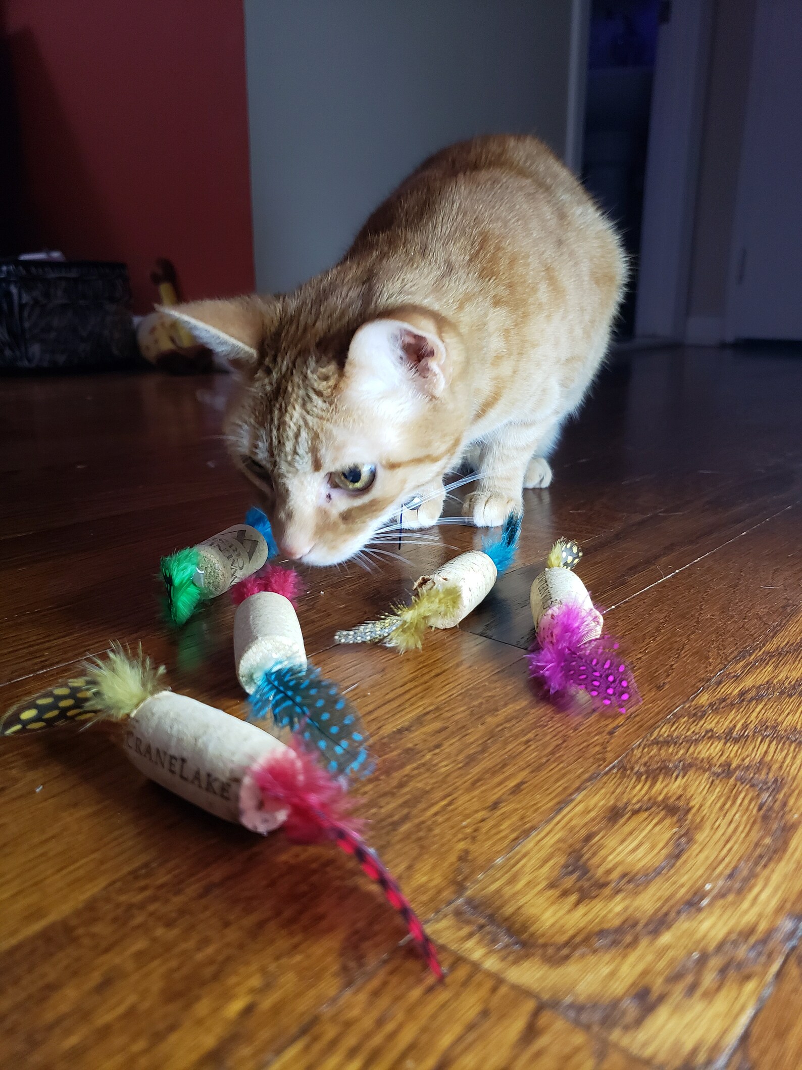 Feather Wine Cork Cat Toy Etsy