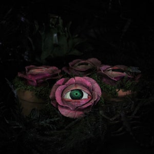 LIMITED STOCK Creepy Eyeball Plant Handmade Halloween Prop/Decor (Creeping Swamp Rose)