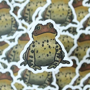 Tiny Toad Vinyl Sticker