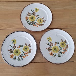 Set of 3 Johnson Brothers à la Carte Honeybunch Dinner Plates 27cm Floral Ironstone, Made in England, , 1970s Vintage Tableware.