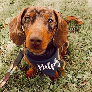 Custom Order Slip On Dog Bandana image 2