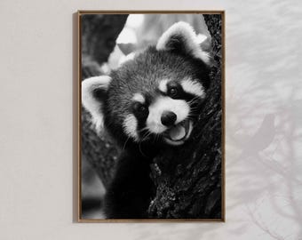Red panda poster : kawaii animal print, nature home decor
