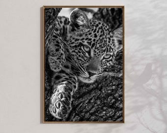 Leopard cub print, wildlife poster, black and white big cat wall art