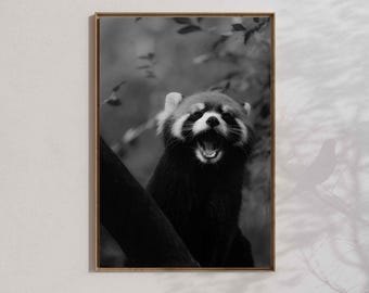 Red Panda Art Print, Animal Poster, Nature Home Decor
