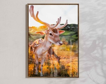 Deer poster, animal photography prints