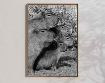 Póster de capibara: regalo de decoración kawaii para el hogar