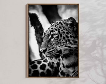 Leopard poster, wildlife print, black and white big cat wall art