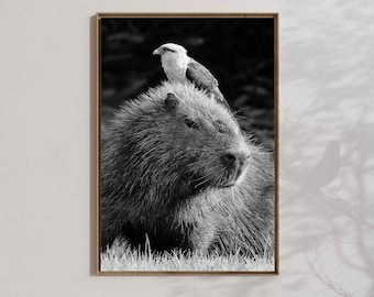 Arte mural de capibara: póster kawaii, regalo de decoración para el hogar