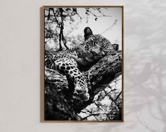 Leopard print, african wildlife poster, big cat wall art
