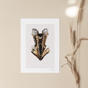 May include: A gold and white corset with a geometric design. The corset is made of a shiny material and has a lot of detail.