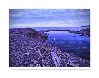 Lienzo con paisaje marino de la costa y madera a la deriva