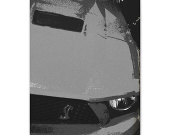 Lona para capó de coche Cobra