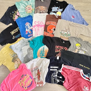 May include: A collection of assorted graphic t-shirts in various colors, including black, blue, pink, and yellow. Designs include cartoon characters, text, and nature scenes. Some shirts feature the text "Snoop", "Pink Floyd", and "Modest Mouse".