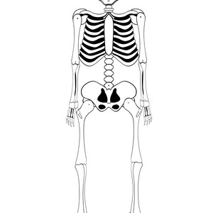 Printable Skeleton Decoration &amp; Pirate Skeleton Decoration - Etsy