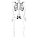 Printable Skeleton Decoration & Pirate Skeleton Decoration - Etsy