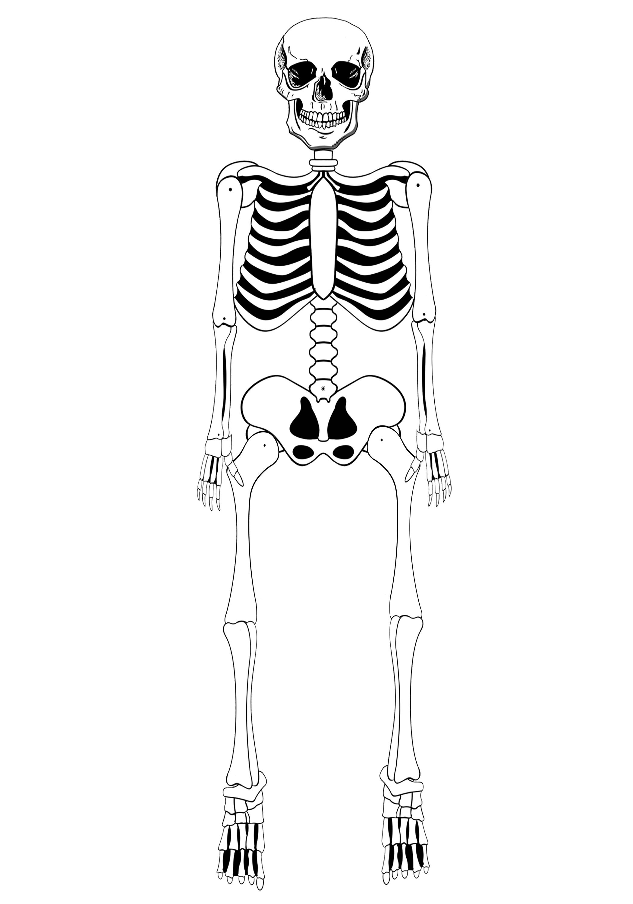 Printable Skeleton Decoration & Pirate Skeleton Decoration Etsy