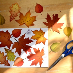 Printable Autumn Fall Wreath image 4