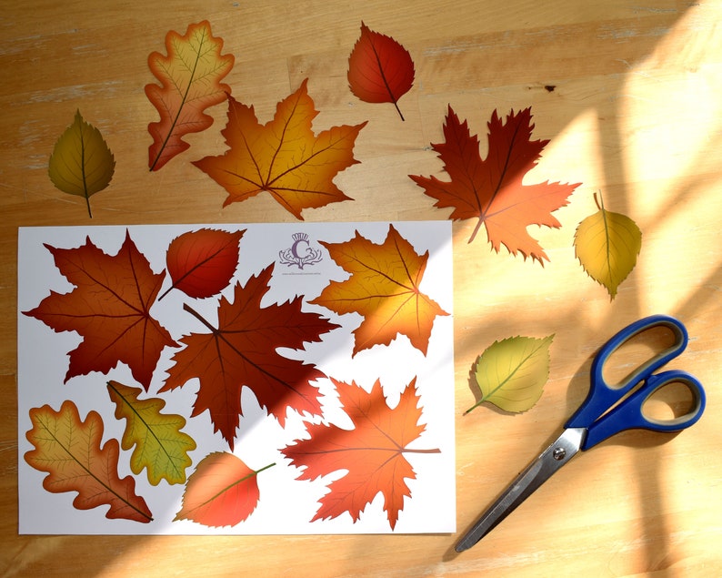 Printable Autumn Fall Wreath image 4