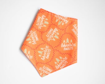 Adventure Awaits Pet Bandana