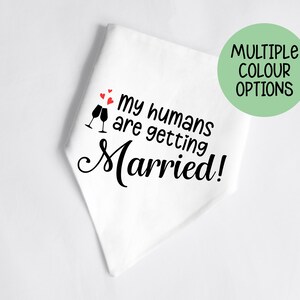 Engagement Pet Bandanas