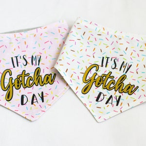 Bandana dla zwierząt Gotcha Day
