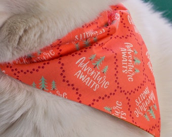 Adventure Awaits Pet Bandana