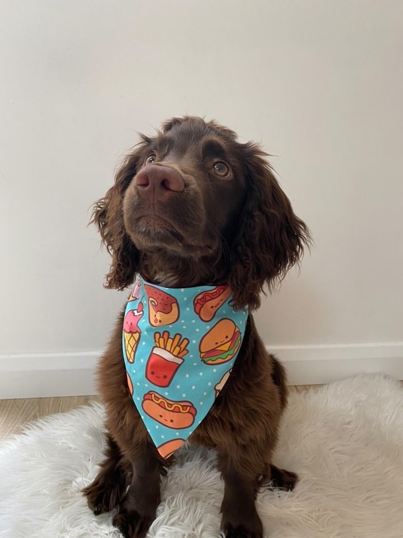 Junk Food Pet Bandana