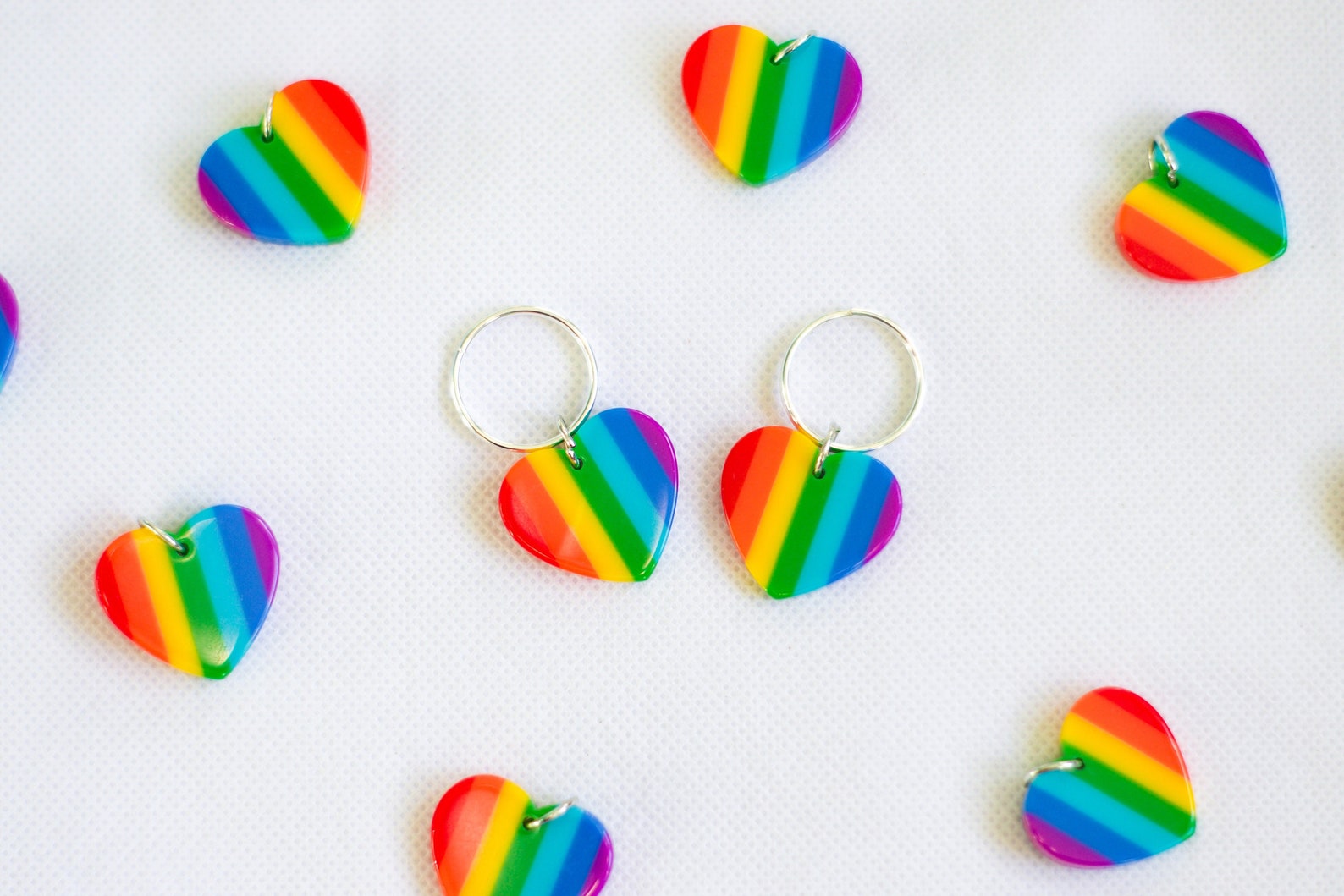 10 Pride Dog Gifts For A Pride Worthy Pooch