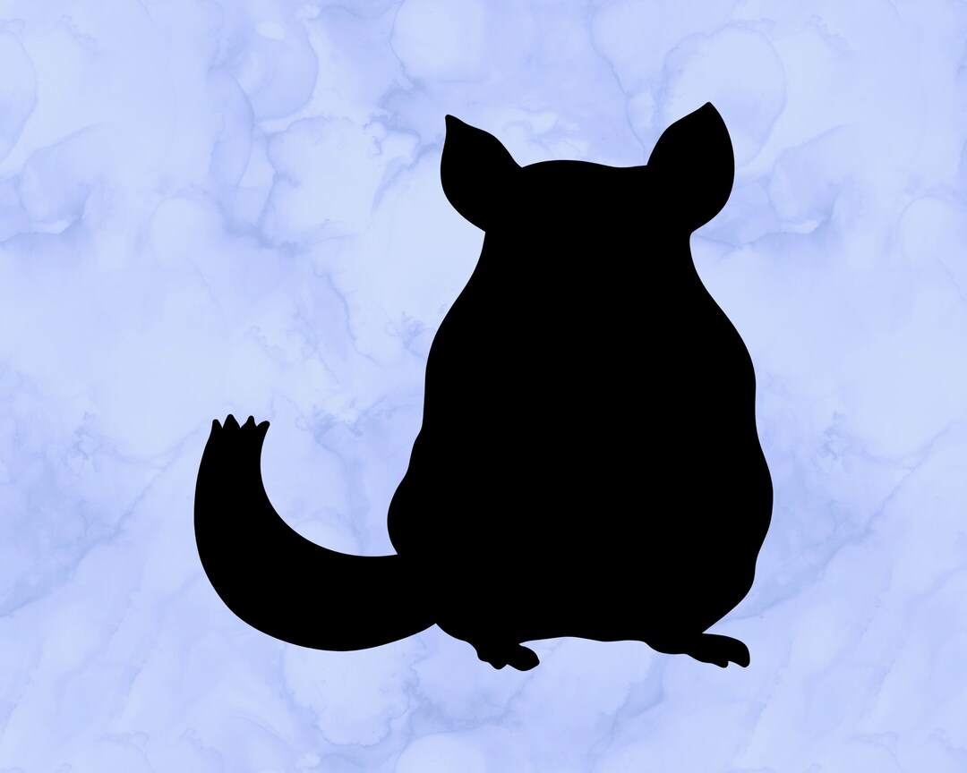 Chinchilla Decal - Etsy