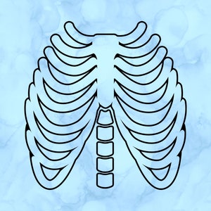 Skeleton Rib Cage Decal - Etsy