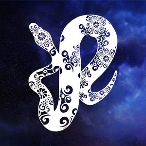 May include: A white snake with a detailed, intricate pattern on a dark blue background with white stars.