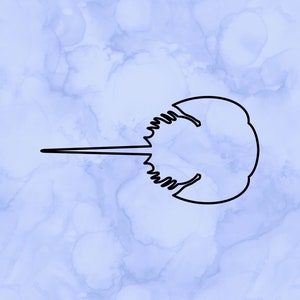 Horseshoe crab outline decal