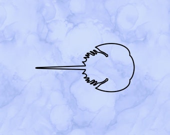 Horseshoe crab outline decal