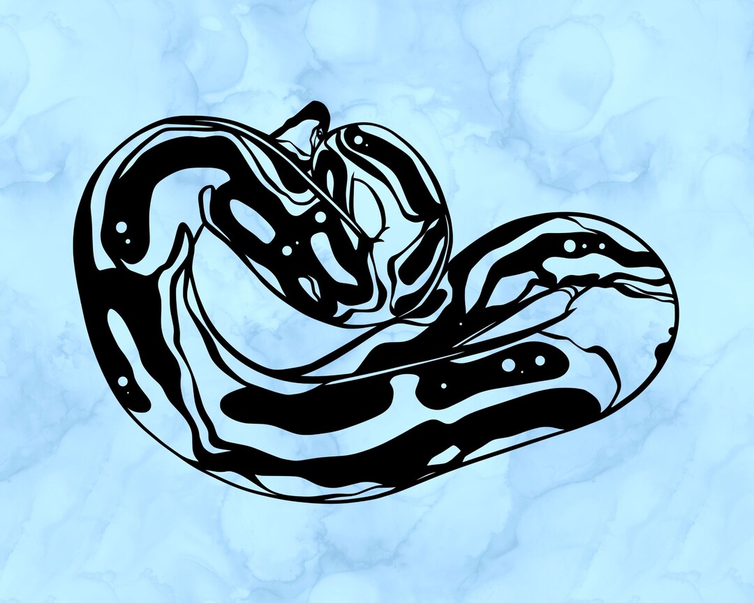 Ball Python Decal - Etsy